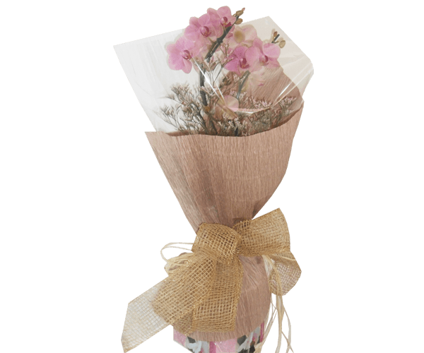 Orquídea duas astes lilás