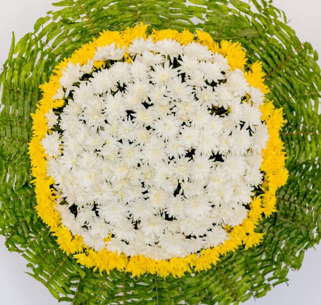 Coroa de flores  do campo duas cores, com faixa cavalete