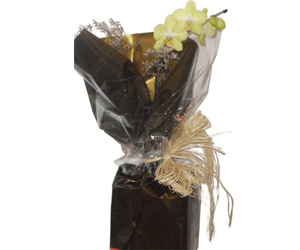 Orquídea uma aste amarela