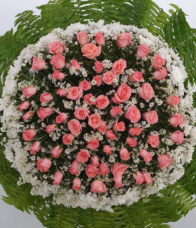 Coroa de rosas cor de rosa, crisântemo Calábria e aster