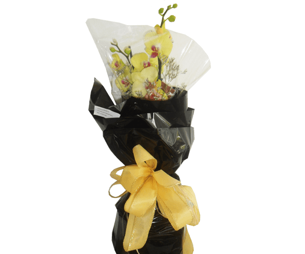 Flores para presente