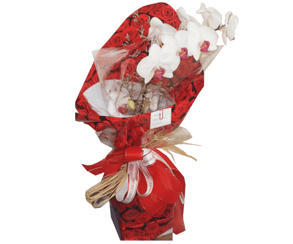 Orquídea uma aste branca